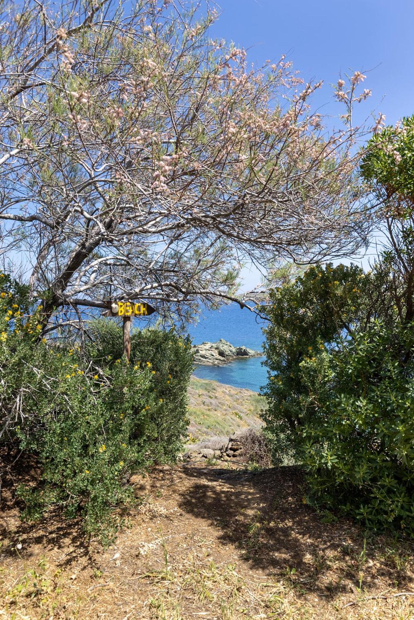 Aegean View - Seaside Apartment In Syros Αζόλιμνος Εξωτερικό φωτογραφία
