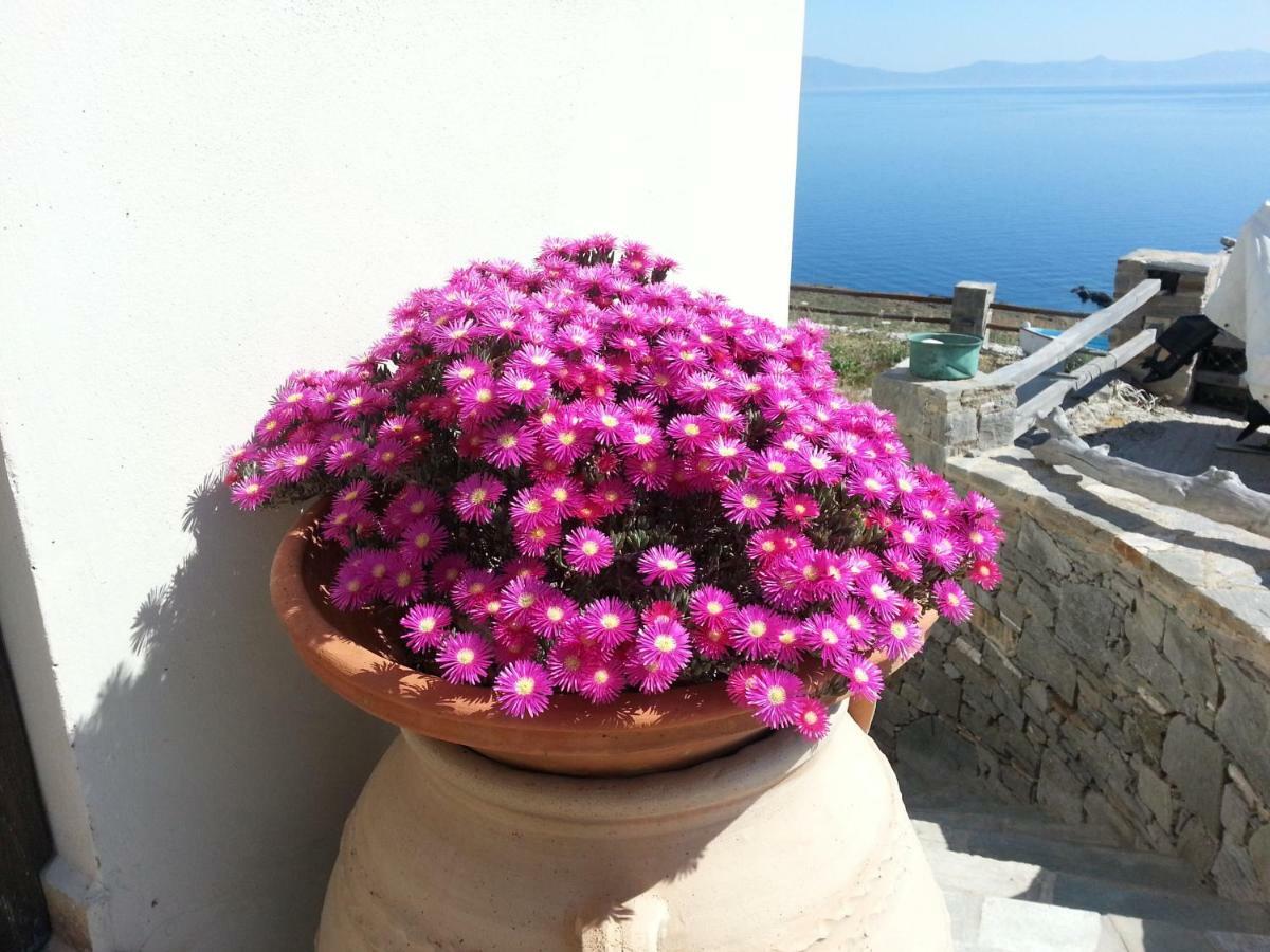 Aegean View - Seaside Apartment In Syros Αζόλιμνος Εξωτερικό φωτογραφία